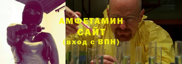 СК Алексин