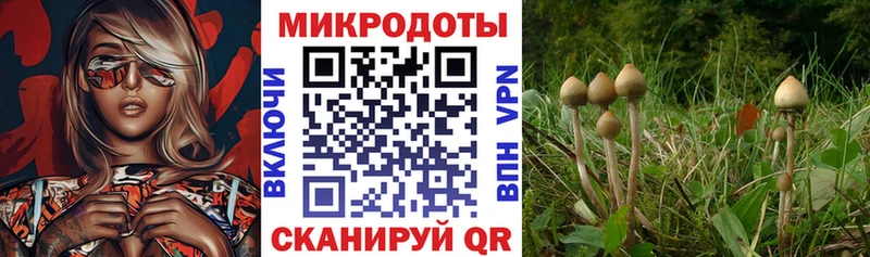 Псилоцибиновые грибы мухоморы  omg ONION  Находка 
