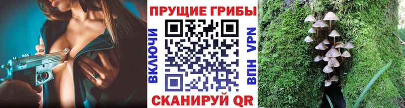 Галлюциногенные грибы Psilocybe Находка