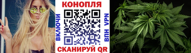 купить закладку  Находка  Бошки марихуана план 